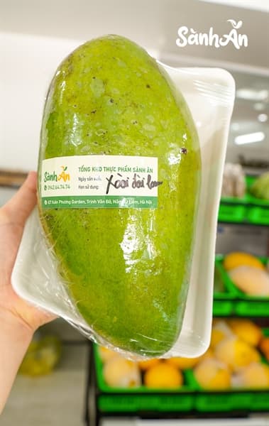 Xoài Đài Loan Sơn La 4