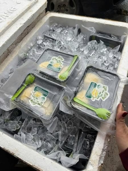 Sầu riêng thái chín cây 500g 4