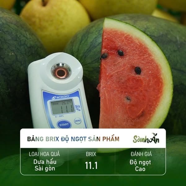 Dưa hấu Sài Gòn 2