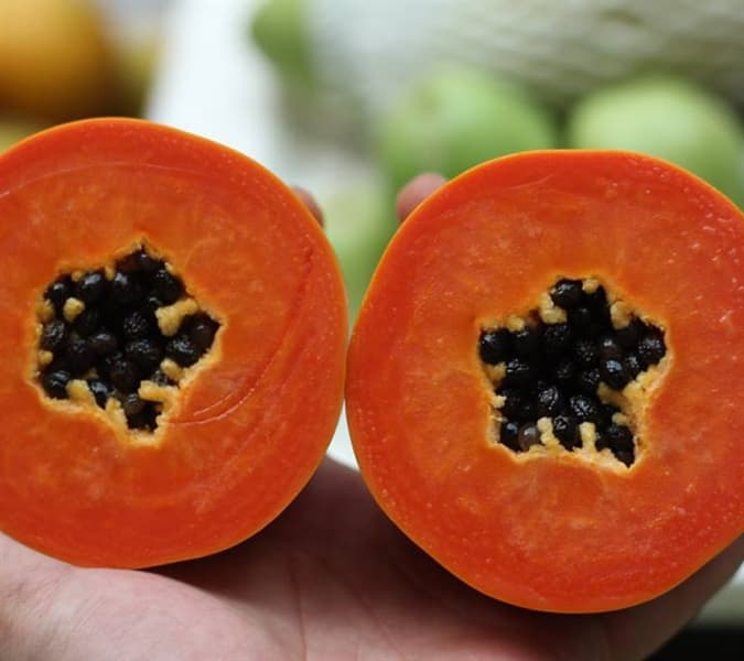 Đu đủ Mộc Lan Viên 2