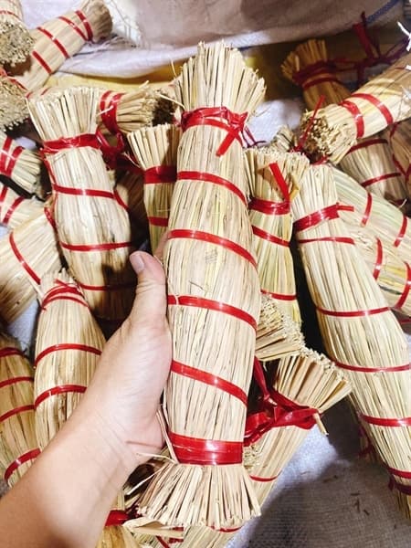 Tré Bình Định 3