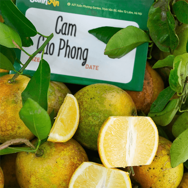 Thùng cam Cao Phong Hòa Bình 5Kg biếu tặng 3