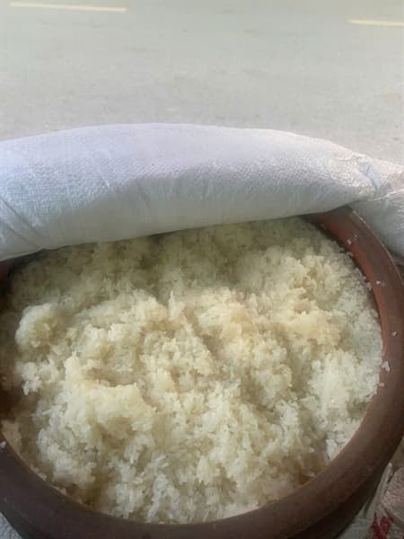 Bánh khúc nhà thờ Nam Định 4