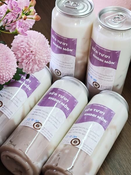 Sữa tươi khoai môn