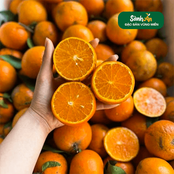 Quýt Sim Mường Khương 2